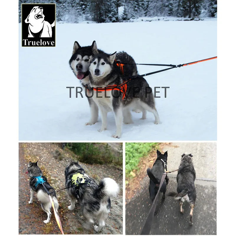 Truelove Nylon Double Dog Leash For Two Dogs Coupler No Tangle Pet Leash For Large Small Dogs For Training Running TLl2372