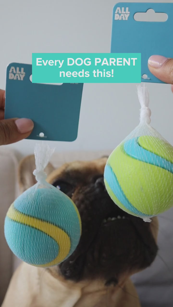 Pet Toy Latex Balls Colorful Chew For Dogs Cats Puppy Kitten